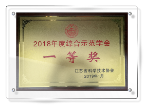 2018年度综合示范学会一等奖